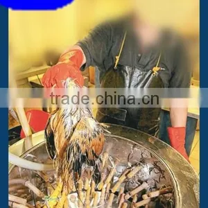 Poultry Slaughtering Plucker thumbnail-1