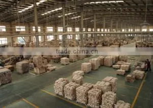 Foshan Shunde District Sangzi Import & Export Co., Ltd. company overview - view 3 thumbnail