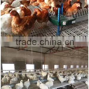 Plastic Flooring for Chicken/duck/rubbit (Professional Manufacturer) thumbnail-1