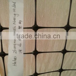 Strong Plastic Slope Road Protection Net/Ground Softing Net/Grass Growing Net thumbnail-4