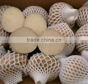 Vietnam Fresh Taro With Best Price and Good Quality thumbnail-5