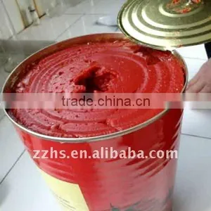 Canned Tomato Paste 28-30 Concentration thumbnail-1