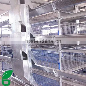 Quail Farm Automatic Drinker and Feeder Equipment For Sale thumbnail-3