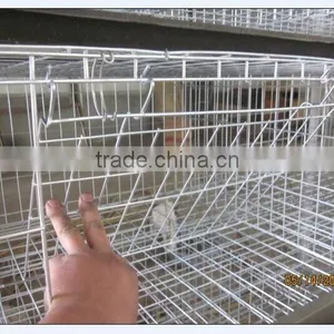 H Type Automatic Layer Poultry Cages for Nigeria thumbnail-2