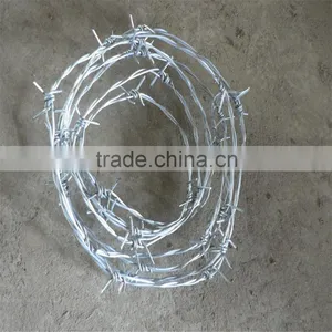 Electro/Hot Dipped Galvanized Double Line Barbed Wire thumbnail-4
