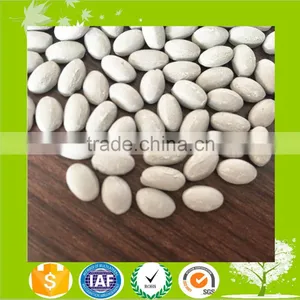 White/Grey White Desiccant Master Batch thumbnail-5