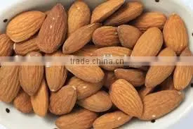 Supply Varied Apricot Kernel With Good Quality thumbnail-6