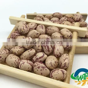 Light Speckled Kidney Beans (XinJiang Round) thumbnail-2