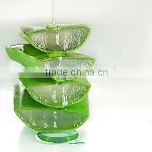 100% Pure Aloe Vera Gel thumbnail-6
