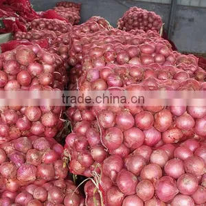 Sweet Onion Price 1 kg From Chinese Onion Exporter thumbnail-2