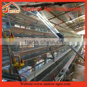 Automatic Poultry Equipments Egg Layer Chicken Battery Cage thumbnail-6