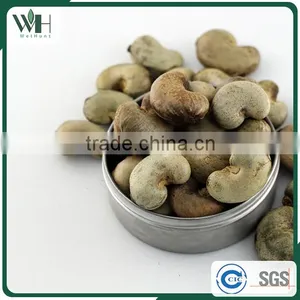 Cambodia Origin Raw Cashew Nuts in Shells thumbnail-6
