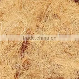 Exporter of Coir Coconut Fibre thumbnail-2