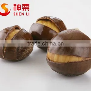 Chinese Chestnuts for Sale---Best Fresh Chestnut in the World thumbnail-5