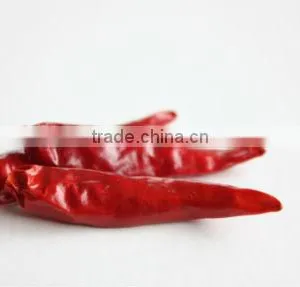 DRY RED WHOLE CHILI thumbnail-1