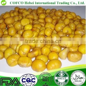 Chestnut thumbnail-2