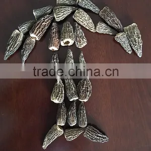 Top Quality of Dried Morchella Conica 3-6cm thumbnail-1