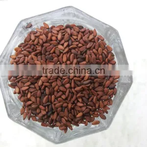 Best Quality Organic Type Brown Sesame thumbnail-1