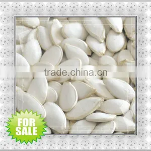 Hgh Quality Roasted and Saltd Pumpkin Seeds 11cm,12cm,13cm thumbnail-5