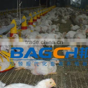 Best Selling Durable Automatic Poultry Nipple Drinker for Chicken thumbnail-6
