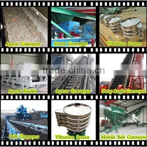 Chinese Hot Sale Chain Bucket Elevator, Mining Bucket Elevator thumbnail-3