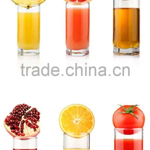 HUIJU Pure Fruit and Vegetable Juicer Extractor Wide Mouth Slow Juicer Sugar CaneJuicer Machine Price HJ-MN219 thumbnail-4