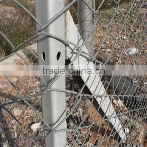 Gardeb Use Pvc Coated Galvanized Green Vinyl Coated Chain Link Fence/Chain Link Fence thumbnail-4