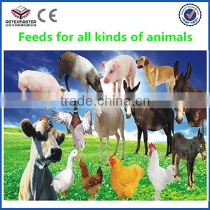 [ROTEX MASTER] YHKJ 250 Poultry Equipment,Poultry Farms Feed Pellet Production Line(1.0-1.5 Tph) thumbnail-3