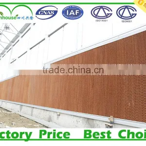 China Agricultural Greenhouse thumbnail-6