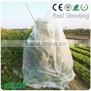 Plant Cover ss Polypropylene Spunbonded Nonwoven Fabric thumbnail-2