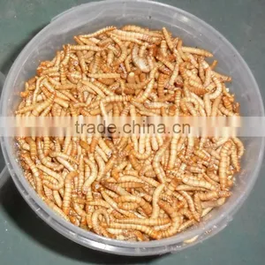 Best Selling Mealworm Treats thumbnail-1