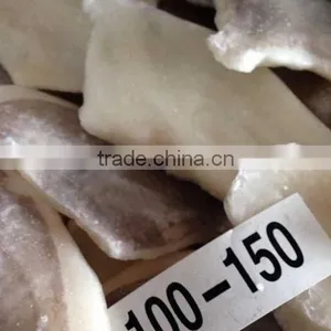 John Dory Fillet ( Zeus Faber ) thumbnail-3