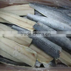 Frozen Spanish Mackerel Fillets thumbnail-1