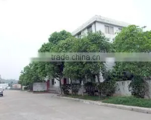 Protronics Company Limited company overview - view 2 thumbnail