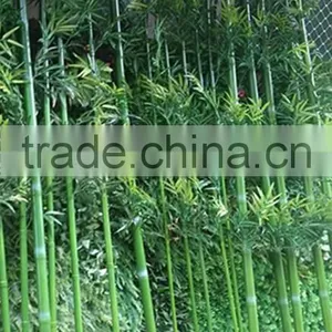 Hign Qulaity New Green Chinese Plastic Outdoor Decor Artificial Lucky Bamboo Poles Fence Plants thumbnail-5