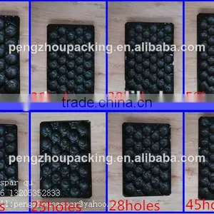 FDA Approved Vacuum Formed PP Food Serving Trays For Fresh Fruit Packaging thumbnail-4