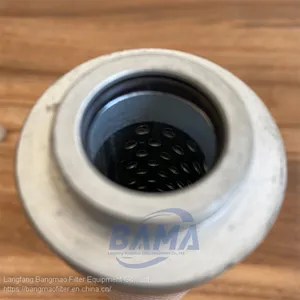 BANGMAO Replacement Pall Hydraulic Oil Filter Element HCY-03PI73010FDS10H thumbnail-5