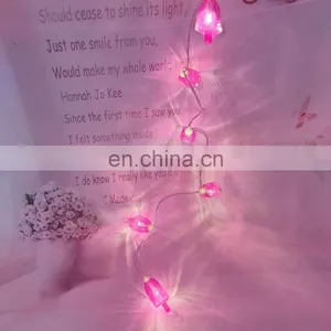2020 New Product Cool And Refreshing Summer 2AA Battery Operated Fairy Popsicles String Light For Decoration thumbnail-3