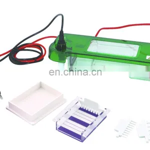 SPAT Gel Analysis Electrophoresis Tank Horizontal Electrophoresis thumbnail-4