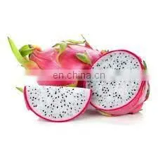 HOT SELLING TROPICAL FRUIT FRESH DRAGON/PITAYA FRUIT FROM VIET NAM thumbnail-3