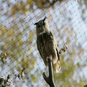 304/316 Stainless Steel Zoo Mesh/Stainless Steel Bird Netting/Aviary Mesh/Stainless Steel Wire Rope Mesh/Netting thumbnail-4