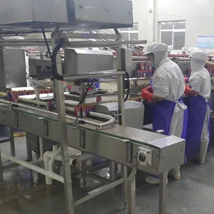 Full Automatic Canned Fish Processing Line Production Line Canned Sturgeon Fish Dace Fish Production Line thumbnail-4