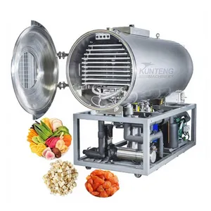 Freeze Dryer Machine Food Freeze Dehydrator Machine Fruits Milk Honey Vacuum Dehydration Drying Machine EPC thumbnail-1