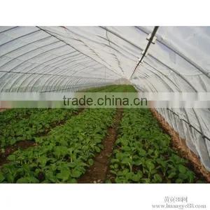 Agricultural Anti Insect Net With Best Price thumbnail-6