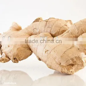 Yellow Dried Ginger thumbnail-1