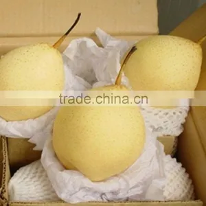 China Fresh Ya Pear for Sale thumbnail-1