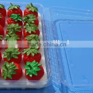 Punnet Clamshell Blister Plastic Packaging Container 500 Gram thumbnail-3