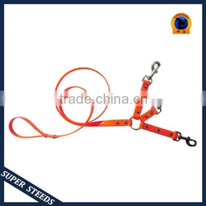 Dog Leash and Soft Dog Lead thumbnail-1