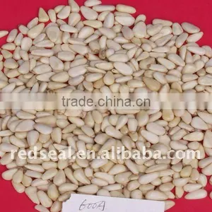 Pine Nut Kernel thumbnail-1