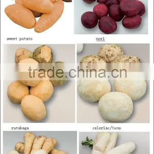 Stainless Steel Automatic Cassava Washing And Peeling Machine thumbnail-4